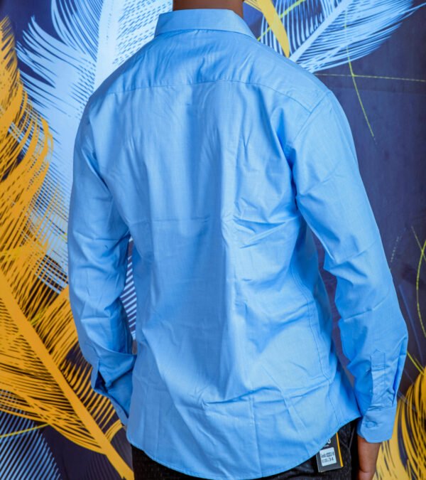 Light Blue Formal Shirts