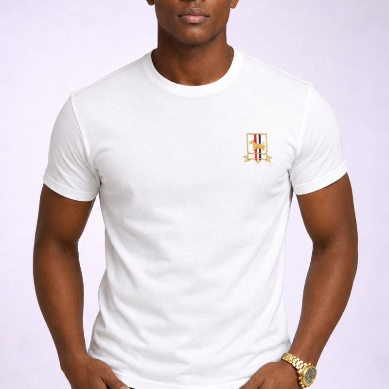 Classic White T-Shirts for Men